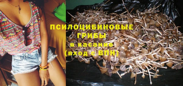 тгк Михайловск