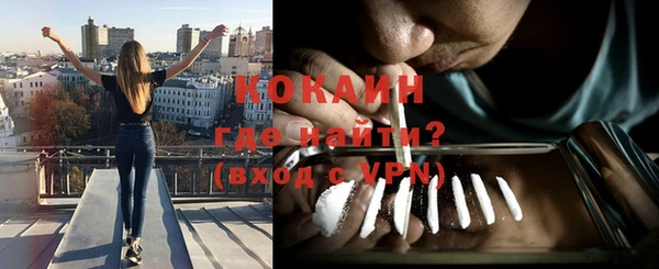 МДПВ Михайлов
