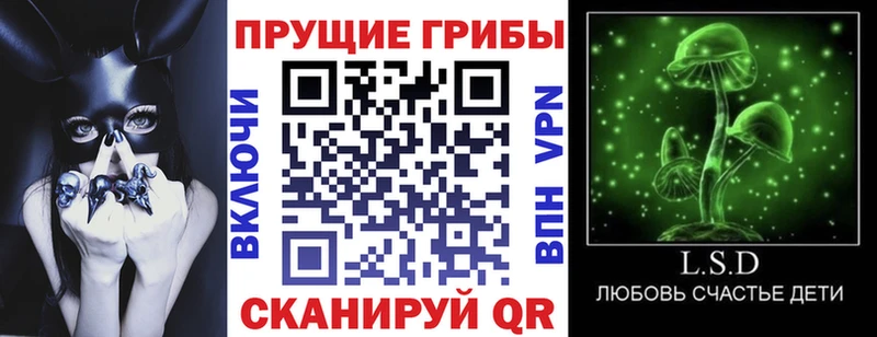 Галлюциногенные грибы Magic Shrooms  Купить где  Мещовск 